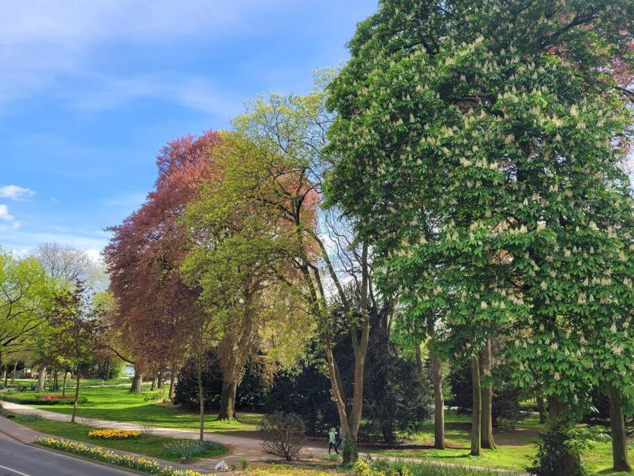 Mit Blick In Den Emsseepark Warendorf Exterior foto